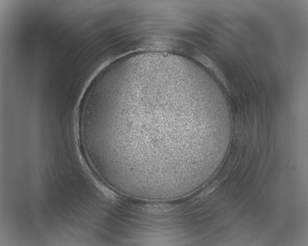 X0000073951083200609111644