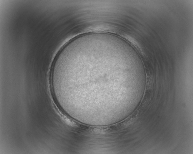 X0000073951086200609111644