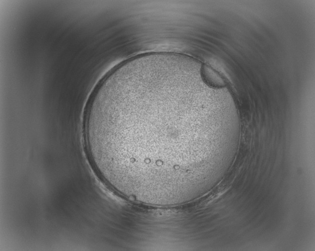 X0000073951087200609111644