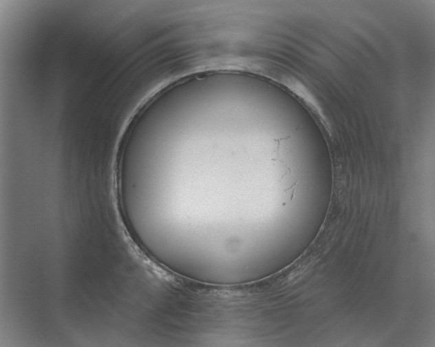 X0000073951088200609111644