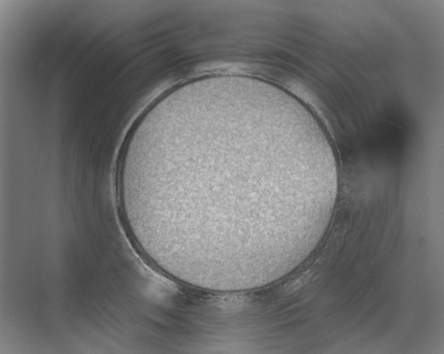 X0000073951090200609111644