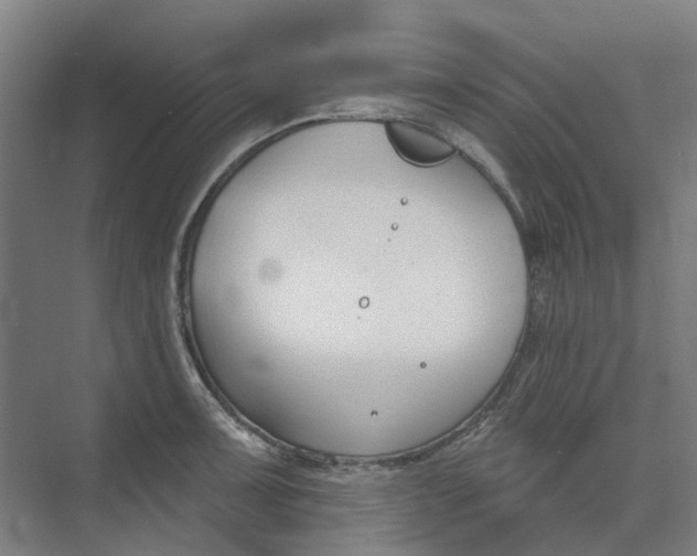 X0000073951091200609111644