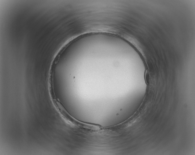 X0000073951093200609111644