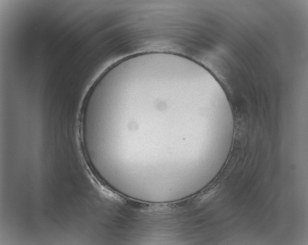 X0000073951094200609111644