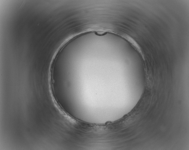 X0000073951096200609111644