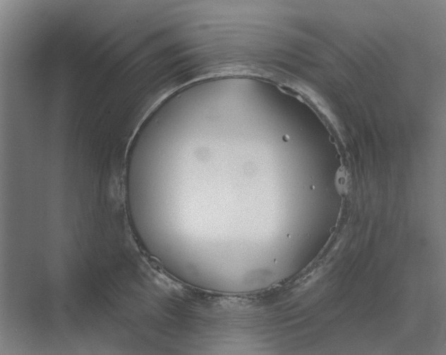 X0000073951097200609111644