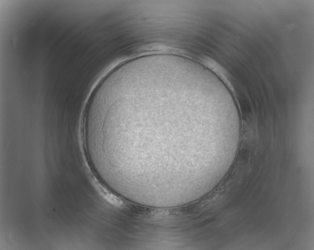 X0000073951098200609111644