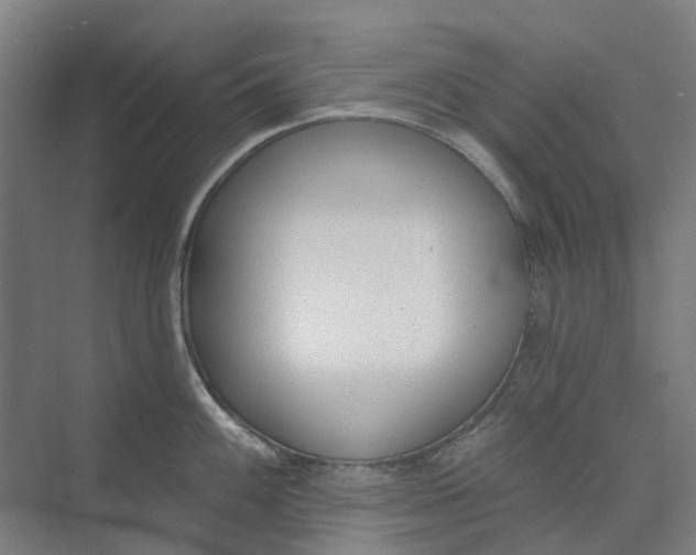 X0000073951100200609111644