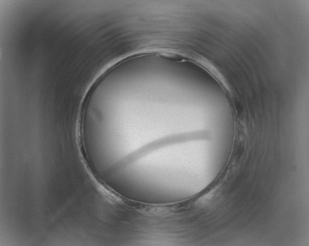 X0000073951101200609111644