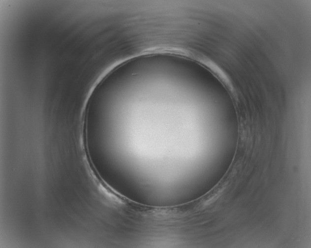 X0000073951102200609111644