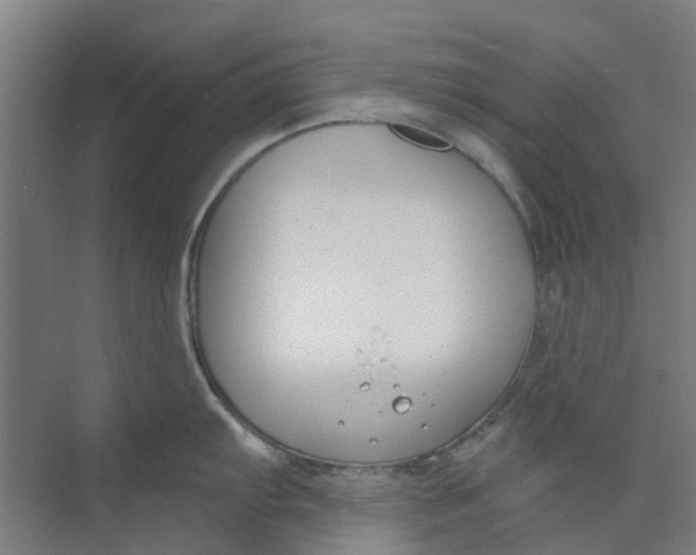 X0000073951103200609111644