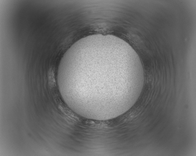 X0000073951106200609111643