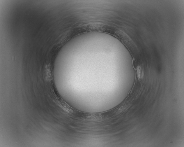 X0000073951107200609111643