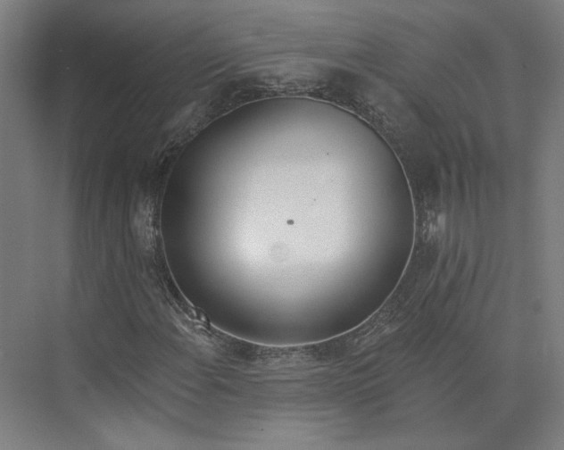 X0000073951108200609111643