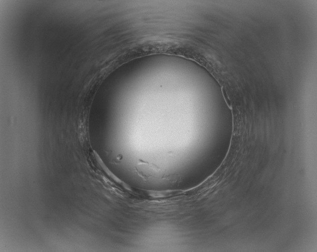 X0000073951109200609111643