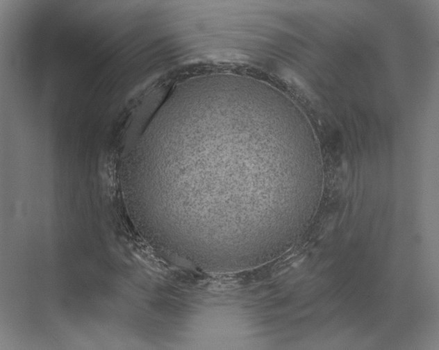 X0000073951110200609111643