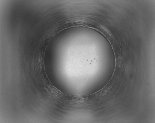 X0000073951111200609111643