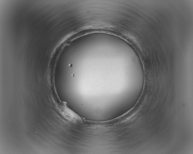 X0000073951114200609111643