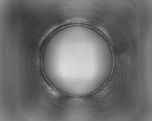 X0000073951115200609111643