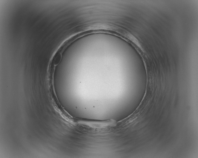 X0000073951116200609111643