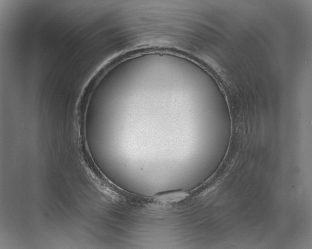 X0000073951118200609111643