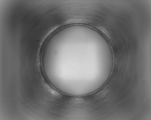 X0000073951119200609111643