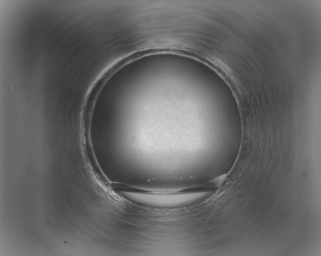 X0000073951120200609111643