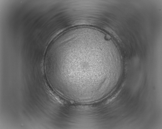 X0000073951121200609111643