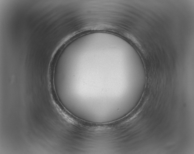 X0000073951122200609111643