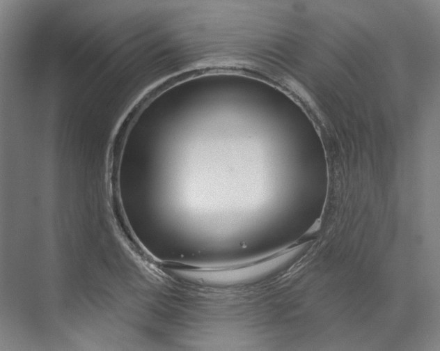 X0000073951124200609111643