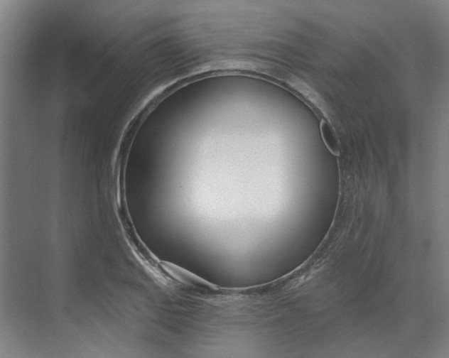 X0000073951127200609111643