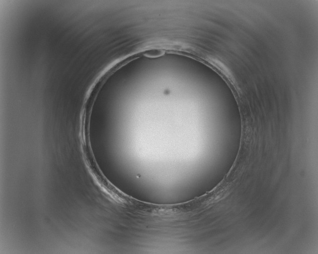 X0000073951128200609111643