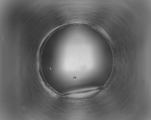 X0000073951132200609111643