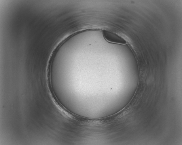 X0000073951135200609111643