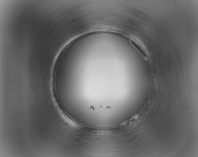 X0000073951136200609111643