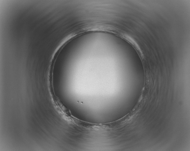 X0000073951138200609111643