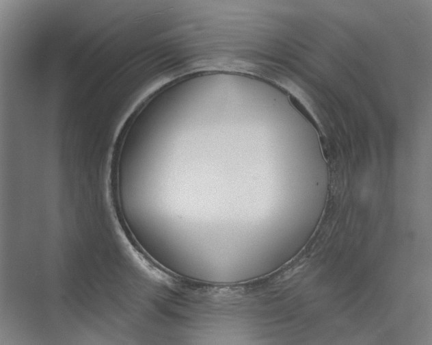 X0000073951139200609111643