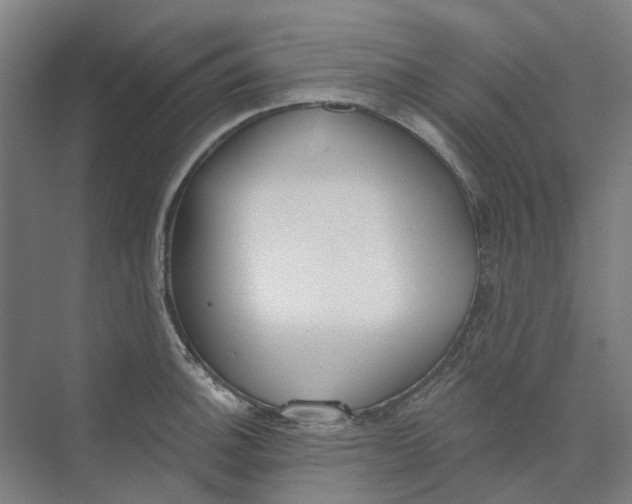 X0000073951140200609111643