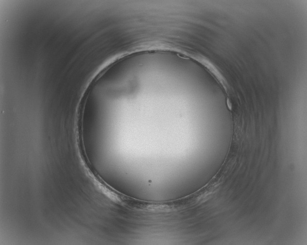 X0000073951142200609111643