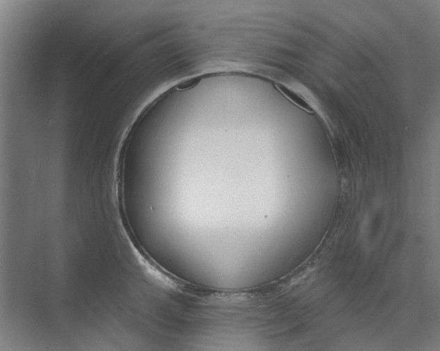 X0000073951143200609111643