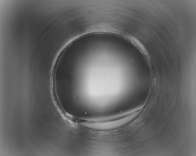 X0000073951144200609111643