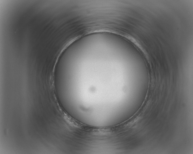 X0000073951145200609111643