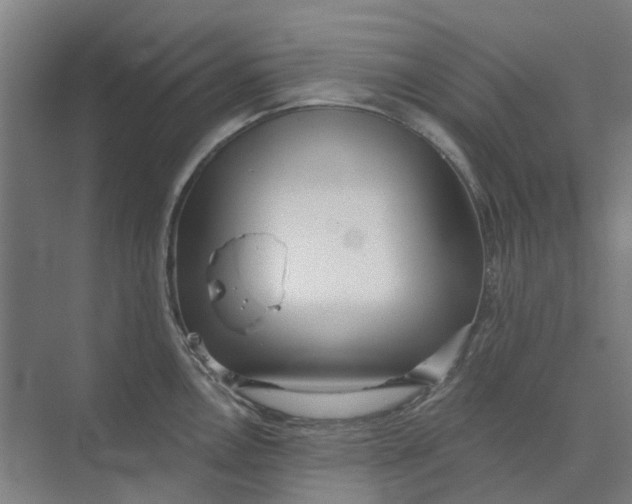 X0000073951146200609111643