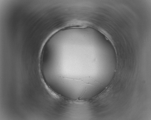 X0000073951152200609111643