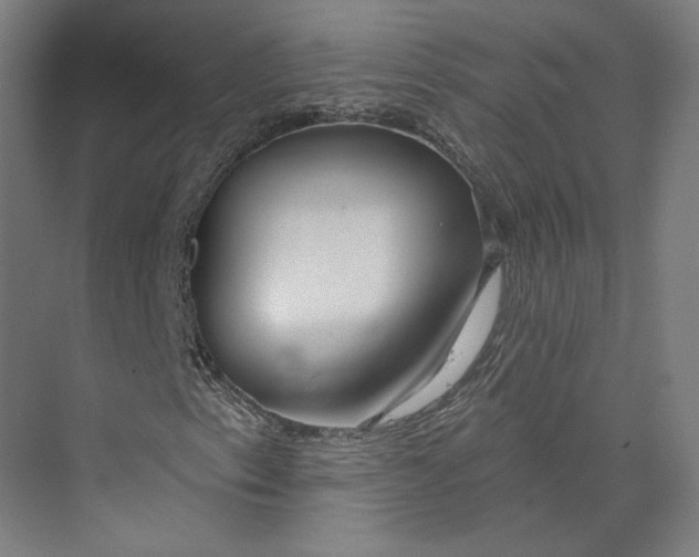 X0000073951153200609111643