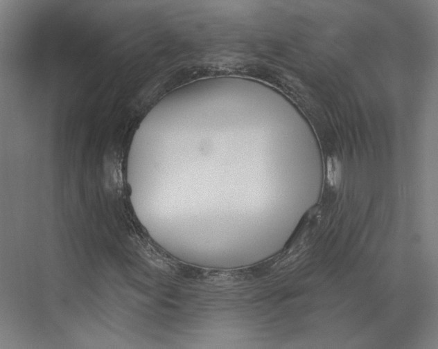 X0000073951155200609111643