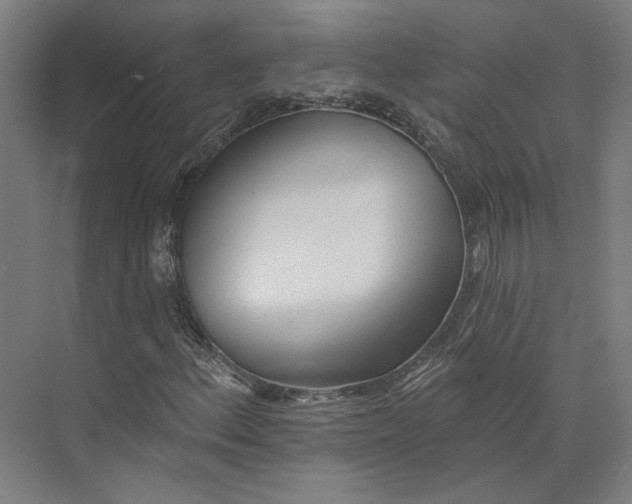 X0000073951156200609111643