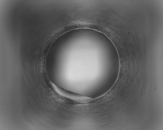 X0000073951157200609111643