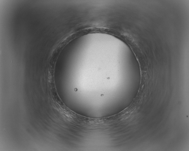 X0000073951159200609111643