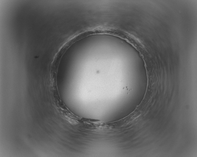 X0000073951160200609111643